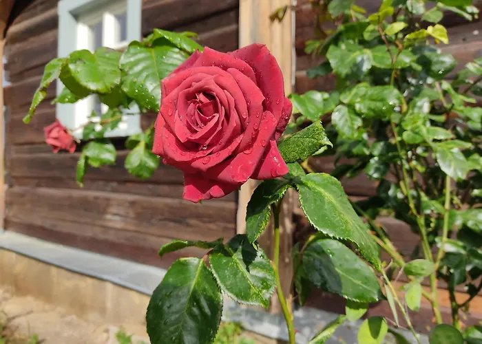 Flachshaeusl Mittelndorf